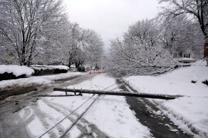 Power line down