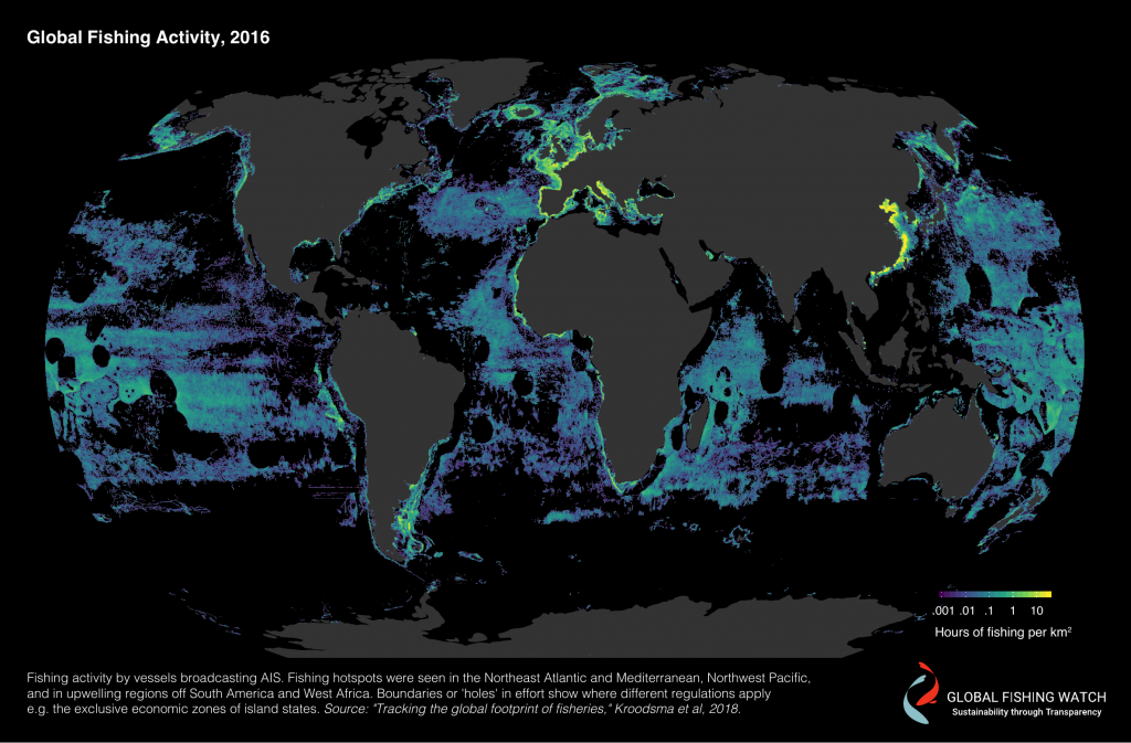 ais data showing global fishing activity